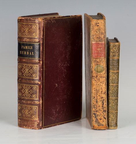 LOT 3031