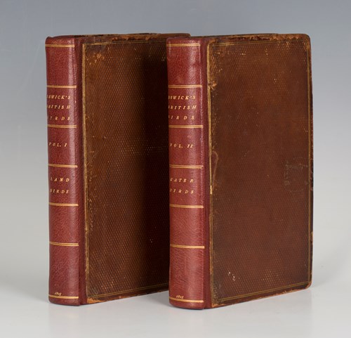 LOT 3073