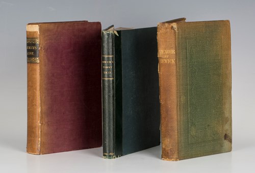 LOT 3114