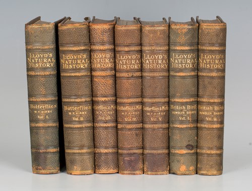 LOT 3150