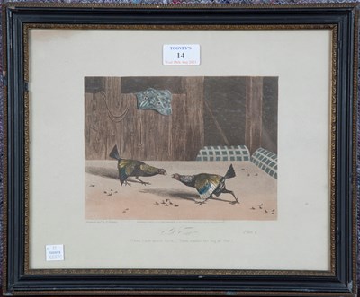 LOT 14