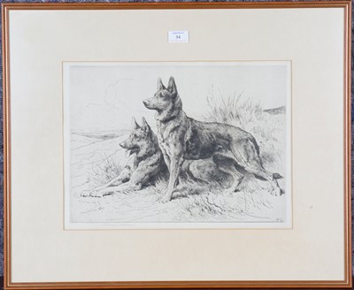 LOT 34