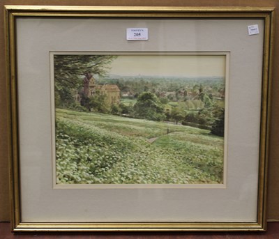 LOT 205