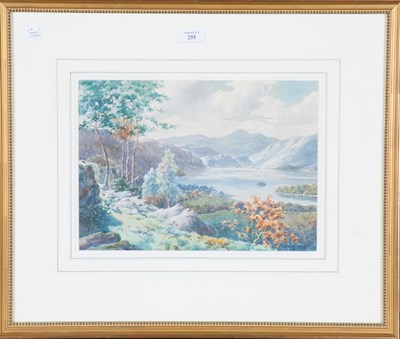 LOT 255