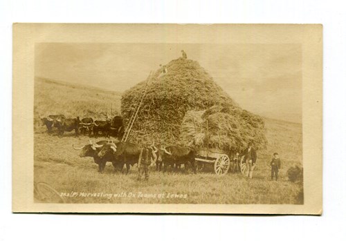 LOT 3171