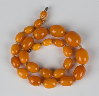 LOT 510