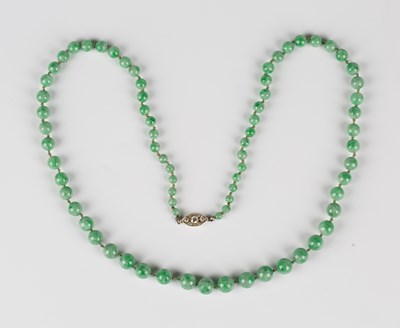 LOT 590