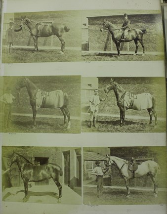 LOT 3234