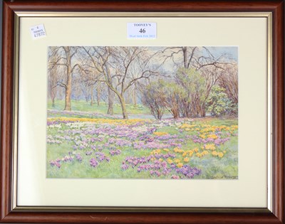 LOT 46