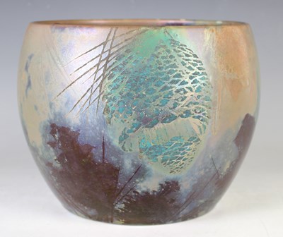 LOT 1555