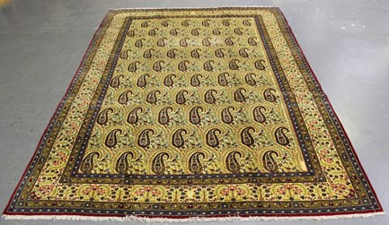 LOT 2924