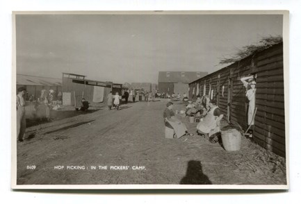 LOT 3133