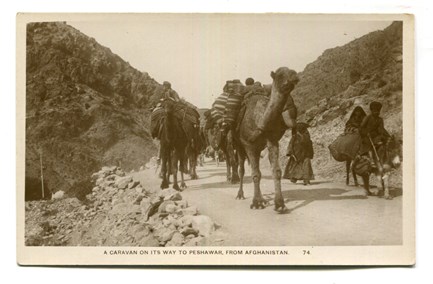 LOT 3194