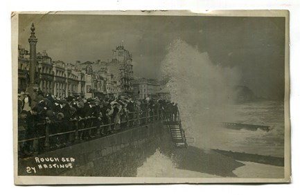 LOT 3196