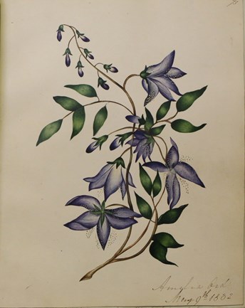 LOT 3262