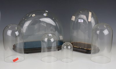 LOT 2504