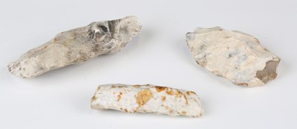 LOT 2399