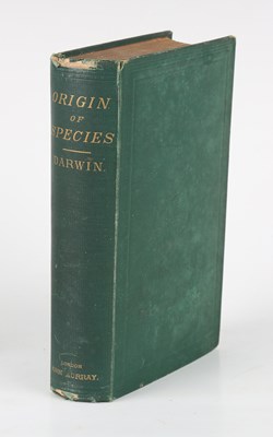 LOT 3030