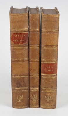 LOT 3031