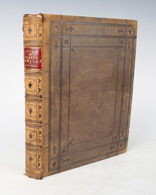 LOT 3189