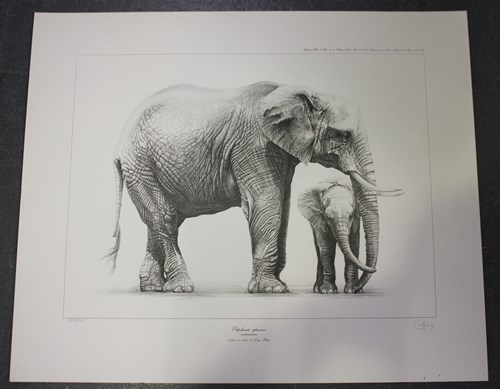LOT 108