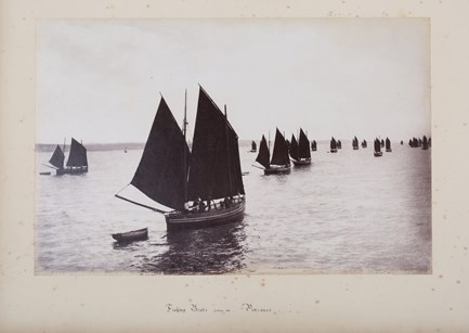 LOT 3437