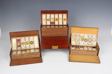 LOT 1240