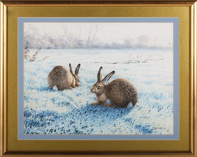 LOT 202