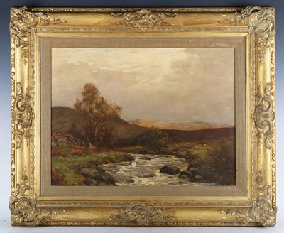 LOT 205