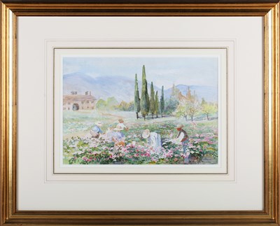 LOT 213