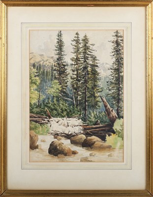 LOT 236