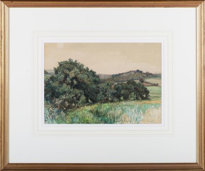 LOT 252