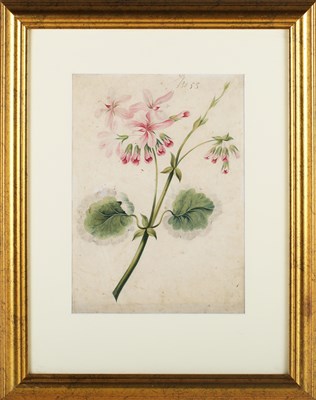 LOT 285