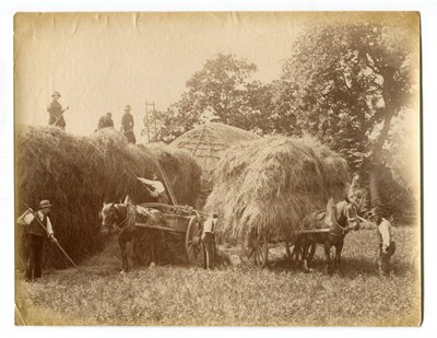 LOT 3206