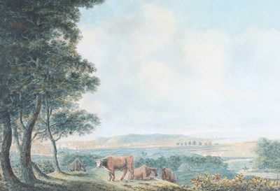 LOT 292