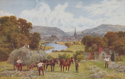 LOT 3204