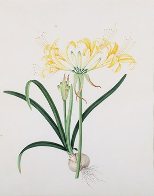 LOT 212