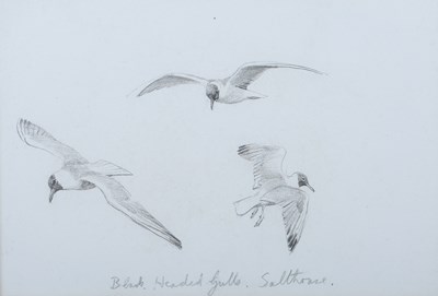 LOT 296