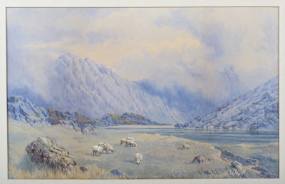 LOT 236