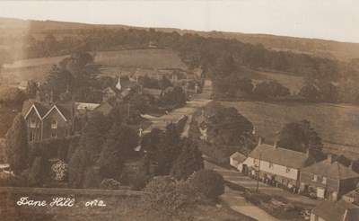 LOT 3129