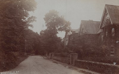 LOT 3138