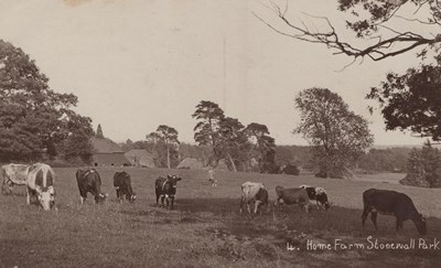 LOT 3142