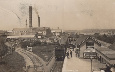 LOT 3159