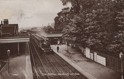 LOT 3184