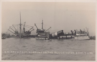 LOT 3190