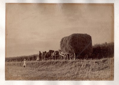LOT 3283