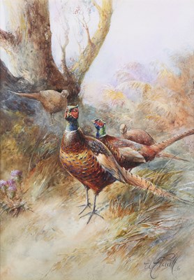 LOT 75