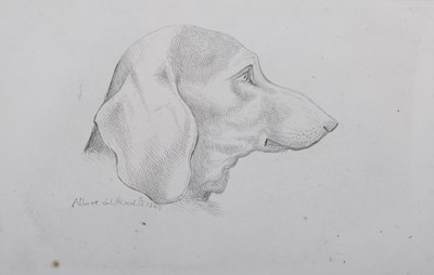 LOT 34