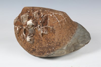 LOT 2488