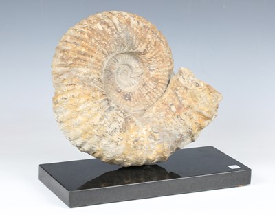 LOT 2489